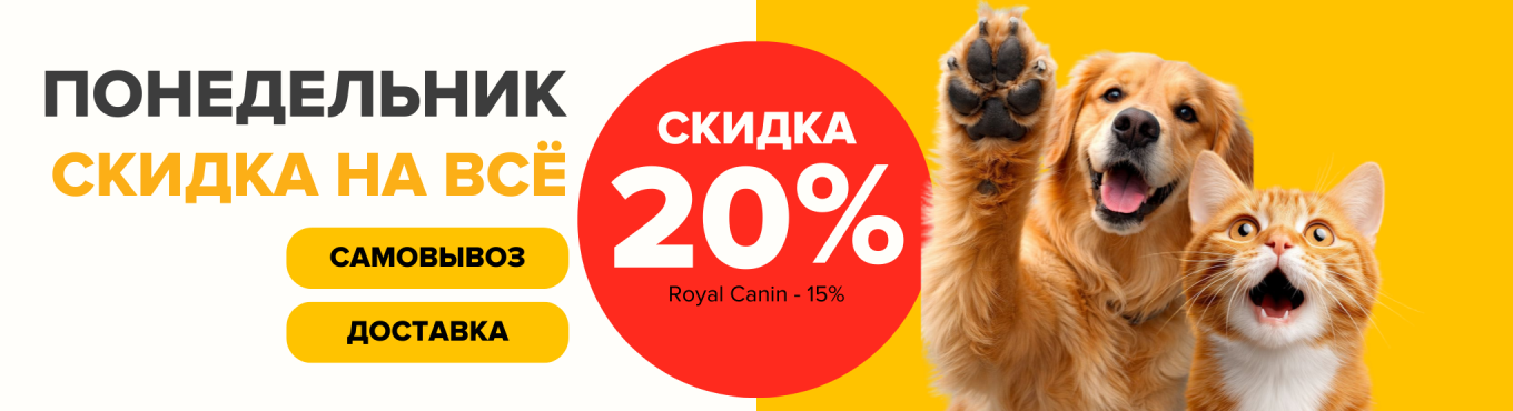 -20 понедельник